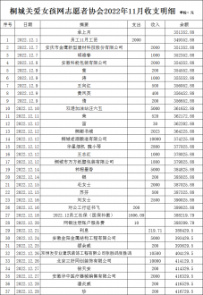 桐城关爱女孩网2022年12月收支明细