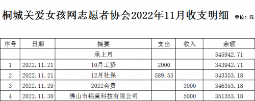 桐城关爱女孩网2022.11月收支明细