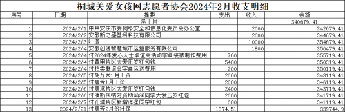 桐城关爱女孩网志愿者协会2024年2月收支明细