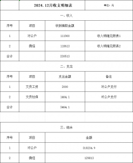 2024年12月收支明细