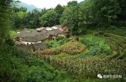 爱之花开放的地方 生命便能欣欣向荣